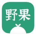 野果阅读清爽免费版app