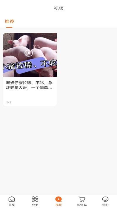 养猪1+1官方版下载,养猪1加1,养猪app,养殖app